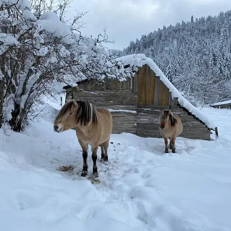 Les Authentics - La Ferme Des Delices & Ferienhaus