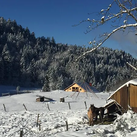 Les Authentics - La Ferme Des Delices & Ferienhaus Gérardmer
