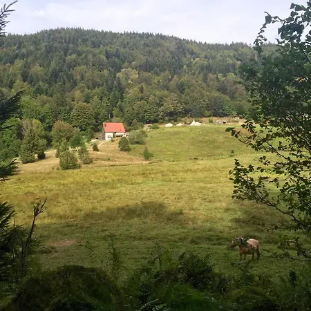 Les Authentics - La Ferme Des Delices & Gérardmer